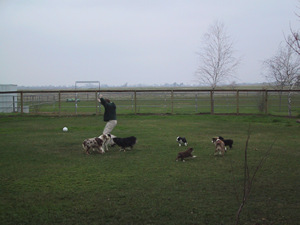 The back yard...